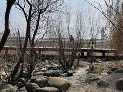 -上海吴淞炮台湾国家湿地公园