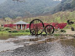 -广州市石门国家森林公园