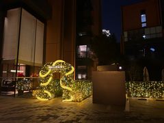 -宝丽轩中餐厅BAOLIXUAN