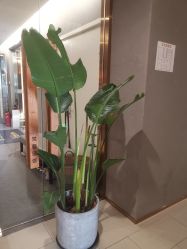 -FineYoga梵音瑜伽·普拉提