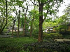 -法云安缦酒店