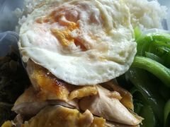 走地鸡-侯臣咖啡文化村