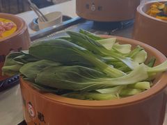 -龍歌自助小火锅(市南金茂湾店)