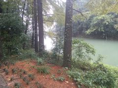 -溪口-滕头旅游景区