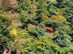 -东天目山风景区
