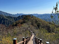 -大岭沟猕猴桃谷风景区