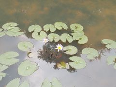 -云溪植物园