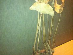 iphone_upload_pic-麒麟华膳汇(飞泷商务大厦店)