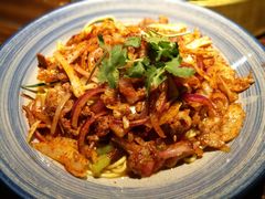 -天山醉美辣子鸡(文艺路店)