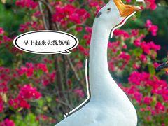 -厦门悦华酒店