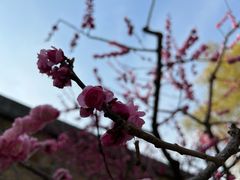 -颐和园