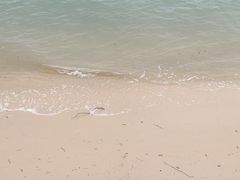 -北海金海湾红树林生态旅游区