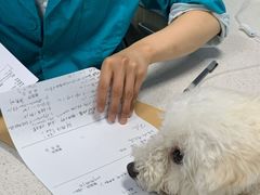 -甄爱宠物医院(疏影路店)