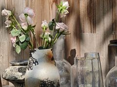 -柠檬花院烤肉·围炉煮茶·草坪团建·生日派对(三圣乡店)