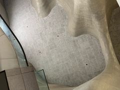 -证大喜玛拉雅中心