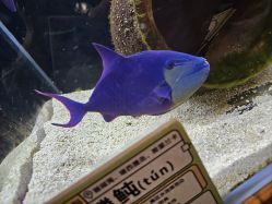 -Zoolung Zoolung动物主题公园(海信广场店)