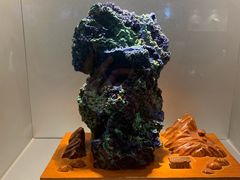 -甘肃地质博物馆