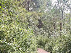 -金堂县云顶石城风景区