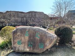 -嘉定紫藤园