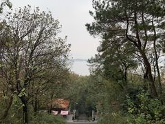 -东湖落雁景区