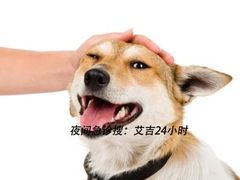 -艾吉宠物医院·疑难杂症转诊中心·猫友好(碧江路院)
