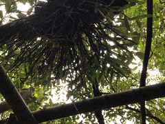 -永泰中国云顶