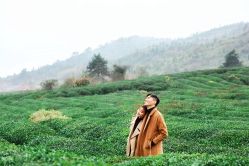 -薇薇新娘婚纱摄影(跃进北路店)