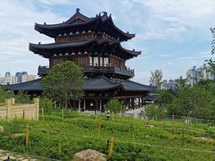 -江心屿景区