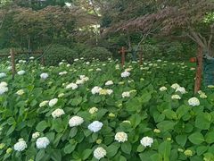 -人民广场