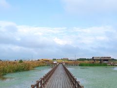 -宁波杭州湾国家湿地公园