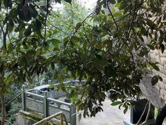 -花亭湖风景名胜区