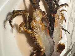 -青蓬蒸汽海鲜·深圳老字号·团建聚会(壹方城店)