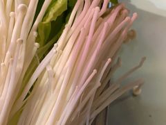 -沙胆彪炭炉牛杂煲(成都玉林店)