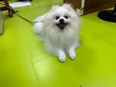-美联众合动物医院·24h转诊中心