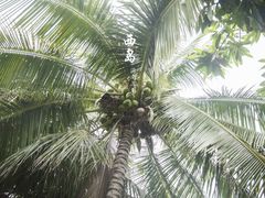 -三亚西岛海洋文化旅游区