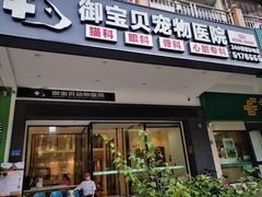 -御宝贝24h宠物医院·转诊中心·CT核磁血透中心(厦门总院)