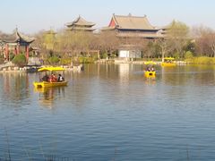 -大槐树寻根祭祖园