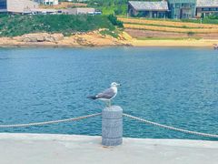 -那香海钻石沙滩浴场