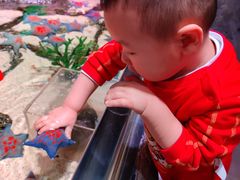 -沈阳海洋探索中心