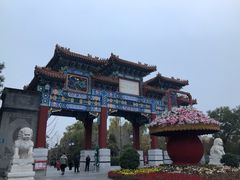 -迎泽公园