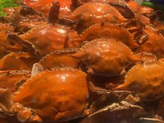 -星伦多自助料理(永旺店)