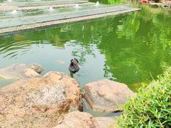 -南宁荔园维景国际酒店·荔园中餐厅
