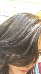 -SALON V