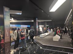 -奥斯卡升龙国际影城(RealD Cinema)