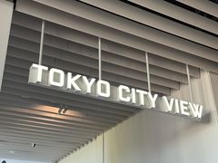 -六本木新城展望台(东京城市景观)