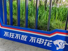 -上海体育场