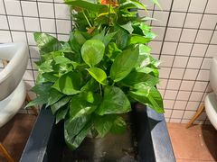 -滋味烤鱼(祥和里店)