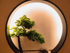 -老头儿油爆虾(胜利河美食街店)