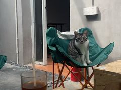 -坊间咖啡馆(贝岗店)