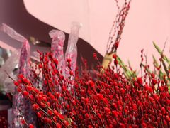 -深圳市罗湖体育馆